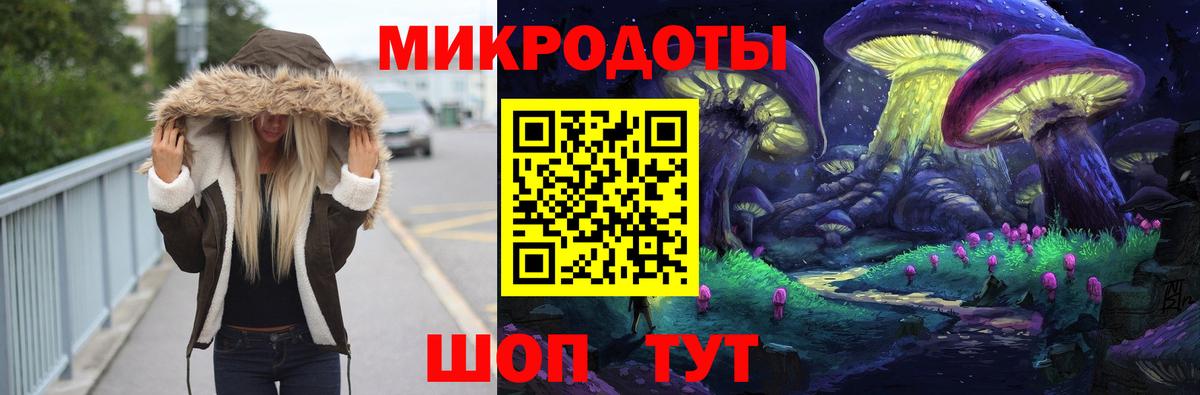 Выборг  закладка  Вход с VPN  Галлюциногенные грибы Psilocybine cubensis 